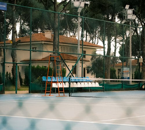 pexels-photo-35564300